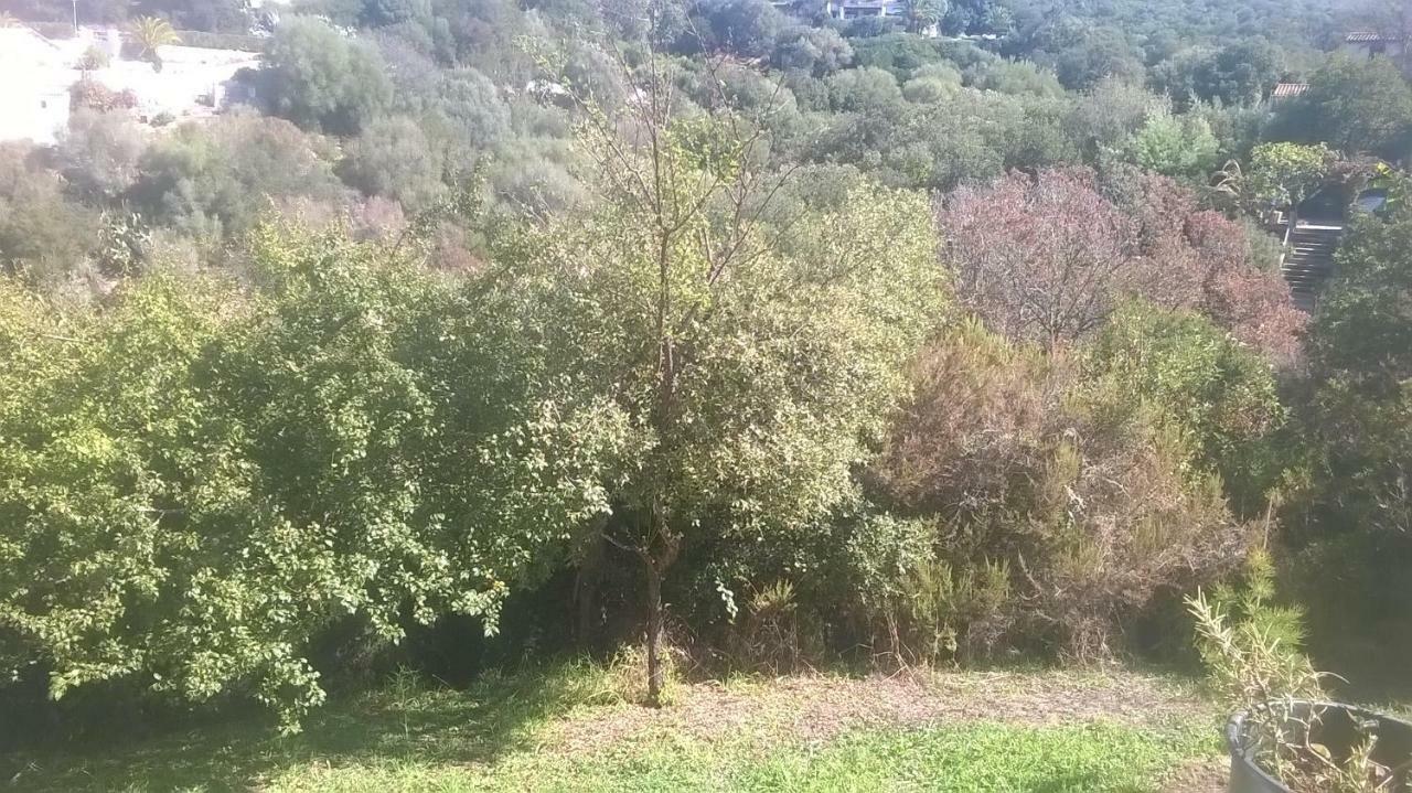 Studio In Porticcio Διαμέρισμα Porticcio  Εξωτερικό φωτογραφία